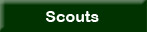 Scouts